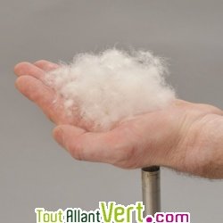 Couette en duvet d\'oie toutes saisons 260g/m2 et coton biologique