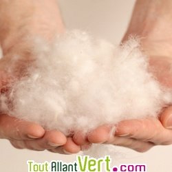 Oreiller en duvet d\'oie bio consistant et coton biologique, Mille Oreillers