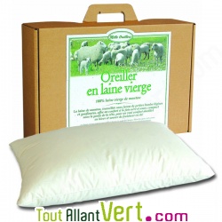 Oreiller en laine vierge bio, 40 x 60 cm et housse en coton biologique Mille Oreillers