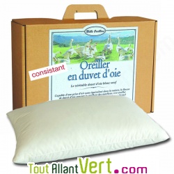 Oreiller en duvet d\'oie bio consistant, 50 x 70 cm et coton biologique, Mille Oreillers
