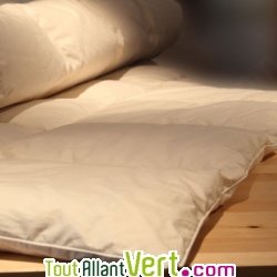 Couette t en duvet d\'oie 100g/m2 et coton biologique