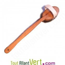 Brosse de massage de luxe en bois avec manche, fibre vgtale et crin