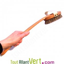 Brosse de massage de luxe en bois avec manche, fibre vgtale et crin