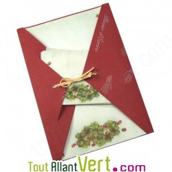 Papier � lettre Coccinelles et enveloppes assorties 100% recycl�