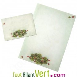 Papier � lettre Coccinelles et enveloppes assorties 100% recycl�