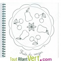 Coloriage Mandala pour les petits, 4 ans et +, sur papier recycl�