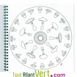 Coloriage Mandala des 4 saisons, 6 ans et +, sur papier recycl�