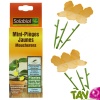 Pi�ges anti-moucherons jaunes pour plantes d\'int�rieur, Solabiol