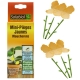 Pi�ges anti-moucherons jaunes pour plantes d'int�rieur, Solabiol