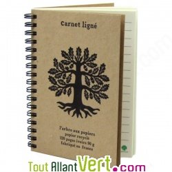 Carnet lign A6  spirale 120 pages recycles, 90g