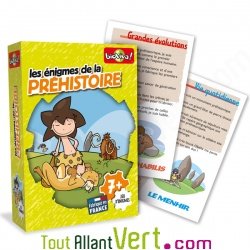 Jeu Enigmes pr�historiques, 7 ans+
