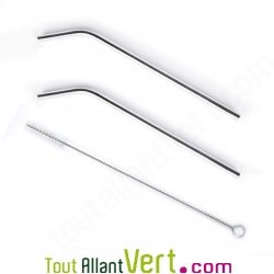 Paille inox pour Smoothies large et longue r�utilisable