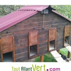 Syst�me ouverture et fermeture porte automatique poulailler Chickenguard Extreme