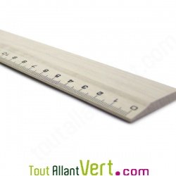 Rgle 30cm biseaut en bois non trait origine France