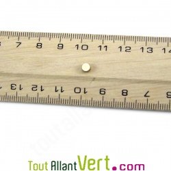 Double d�cim�tre en bois biseaut� et t�ton m�tal France