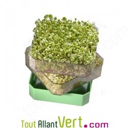 Etage suppl�mentaire pour germoir � �tages Germline