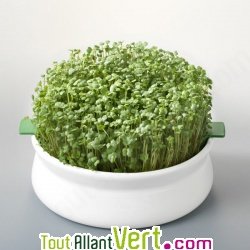 Coupelle de germination pour graine � mucilage, Germline