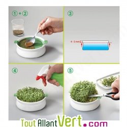 Coupelle de germination pour graine � mucilage, Germline