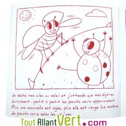 Cahier � colorier Coxy, histoire des Coccinelles en papier recycl�