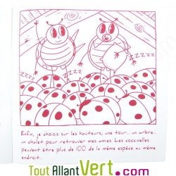 Cahier � colorier Coxy, histoire des Coccinelles en papier recycl�