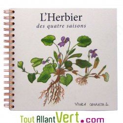 Herbier �colo au format carr�, 4 saisons, recycl�, 30 pages