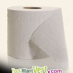 Papier toilette 100% recycl - 4 Maxi Rouleaux non blanchis