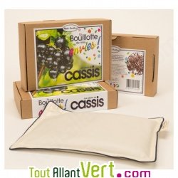 Bouillotte en coton bio aux p�pins de cassis, 18x25cm