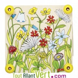 Presse-fleurs en bois illustr prairie, 3 ans +