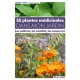 55 plantes m�dicinales dans mon jardin, �dition Terre Vivante