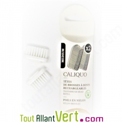 Recharge 2 ttes pour brosse  dents poils en nylon de Caliquo