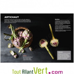 Primeurs, 40 l�gumes de saison bio d�clin�s en 200 recettes, Florence Teillet