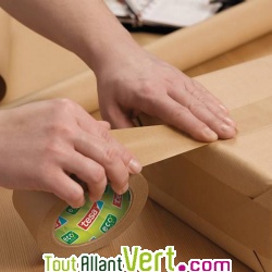 Rouleau de ruban adh�sif �cologique Papier Kraft ecoLogo Tesa, 50 m�tres x 50mm, lot de 3