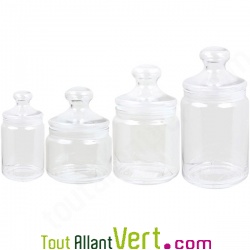Bonbonni�re et son couvercle en verre