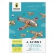6 avions en carton � fabriquer + 120 stickers, 4-11 ans