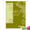 Cahier recycl� Petits carreaux A4 96p Vert Forever