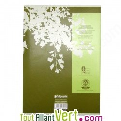 Cahier recycl� Petits carreaux A4 96p Vert Forever