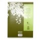 Cahier recycl� Petits carreaux A4 96p Vert Forever