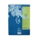 Cahier recycl� Grands Carreaux A4 96p Bleu Forever