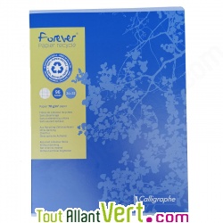 Cahier recycl 24x32cm Grand carreaux 96p Bleu Forever