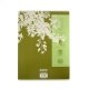 Cahier recycl� 24x32cm Grands carreaux 96p Vert Forever