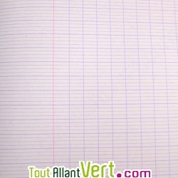 Cahier recycl� 24x32cm Grands carreaux 96p Vert Forever