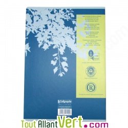 Cahier recycl� Petits carreaux A4 96p Bleu Forever
