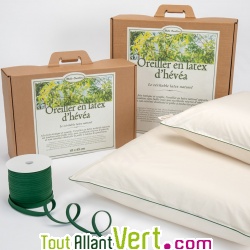 Oreiller en latex d\'h�v�a 60x60cm, Mille Oreillers