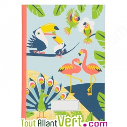 Cahier lign Recycl 15x21cm