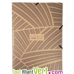 Chemise � �lastiques 3 rabats, lot de 5 assortis