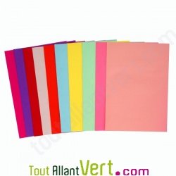 Sous-chemises recycl�es Nature Future 31x22cm pour A4 80g