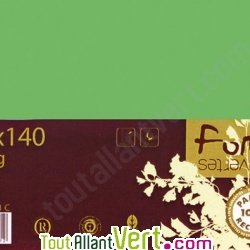 Enveloppes recycl�es 114x162 Forever x20 Vert Mousse 120g