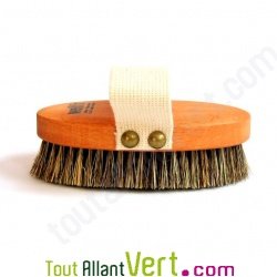 Brosse de massage de luxe en bois, fibre v�g�tale et crin, 14 cm