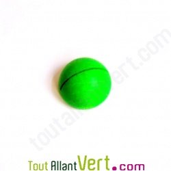 Porte photo en bois, vert