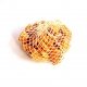 Jeu de cubes en bois multiformes 30 / 60 pi�ces